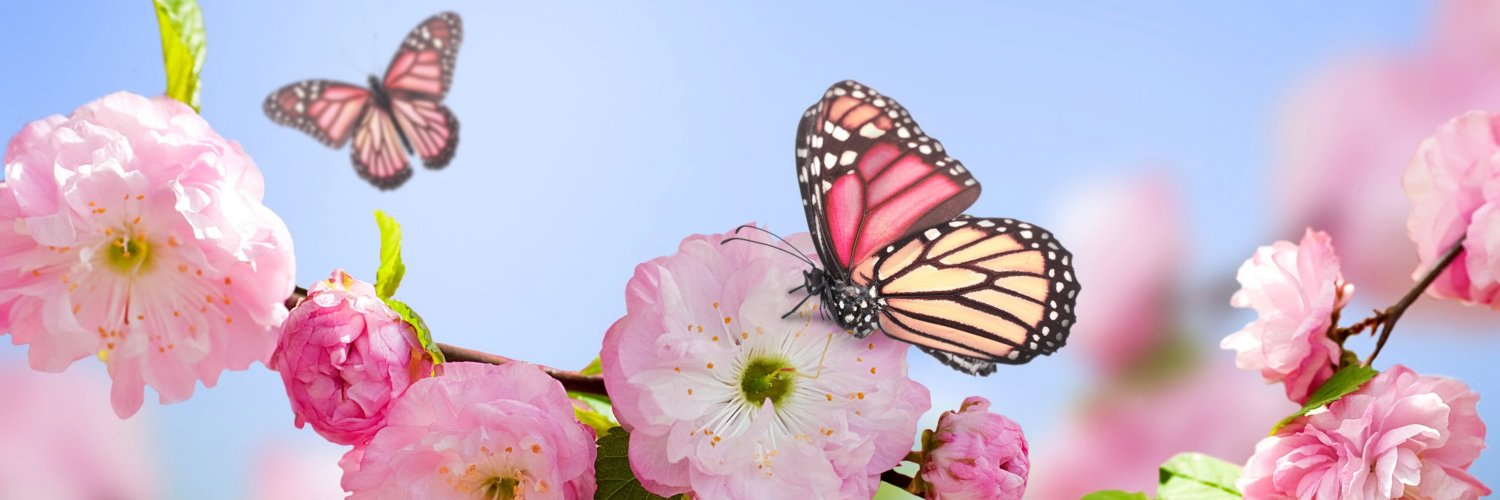 ياسمين's banner