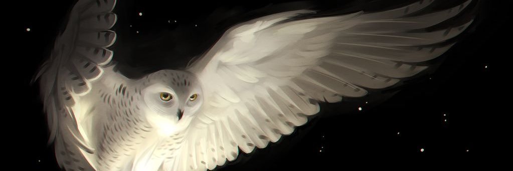 🪽's banner