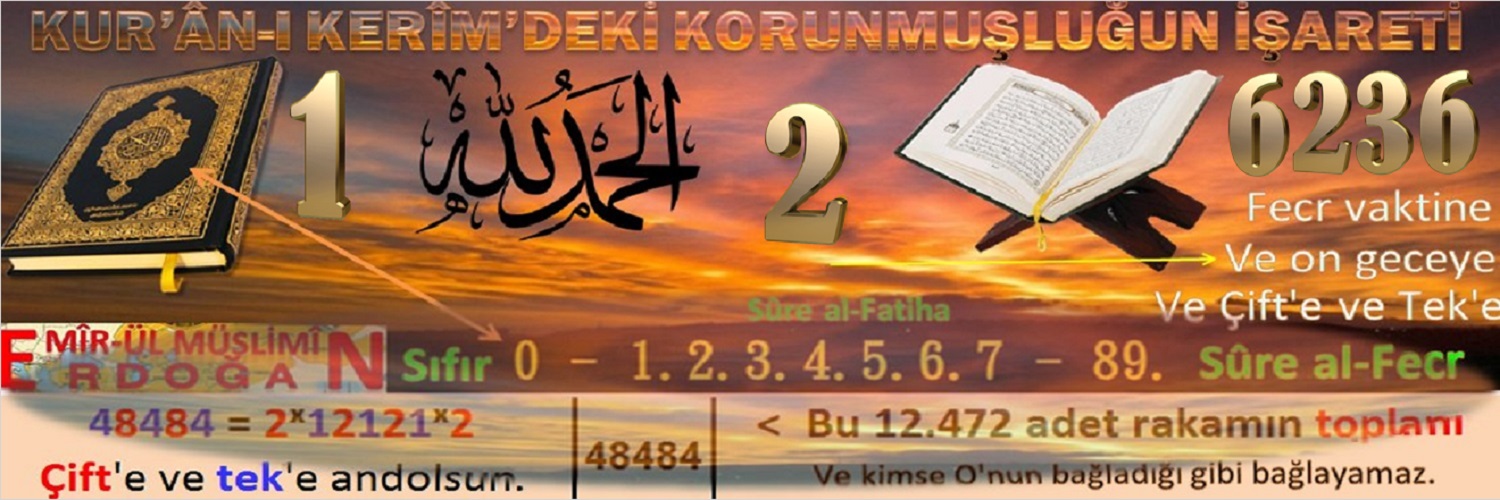 Asım Yalçınkaya's banner