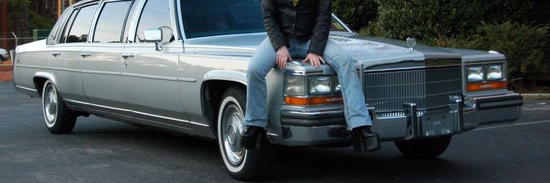 Alice Skary (they/them/theirs)'s banner