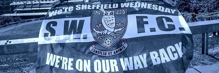 North Yorkshire Owls's banner