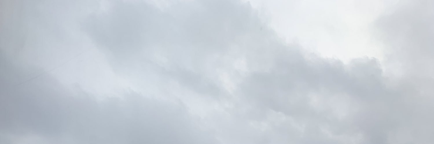 Aran's banner