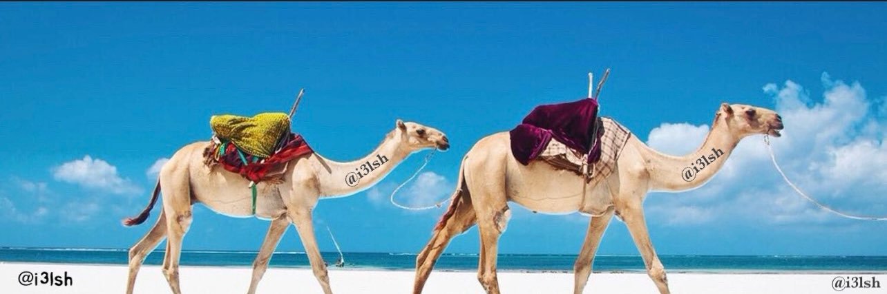 علش العبدلي's banner