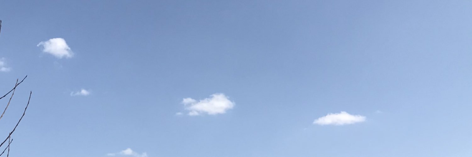 Энхбадрал's banner