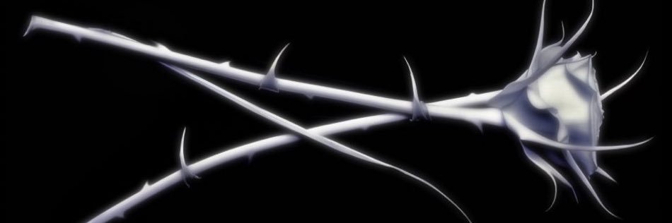 ✦✦'s banner