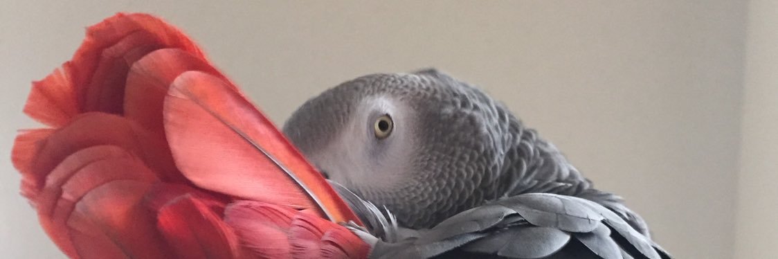ドラえもん's banner