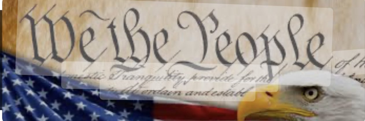 LadyHawk 🇺🇸's banner