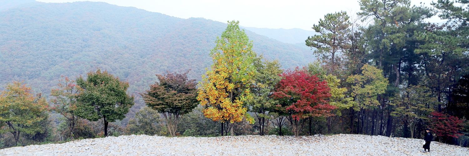 Kiwoo's banner