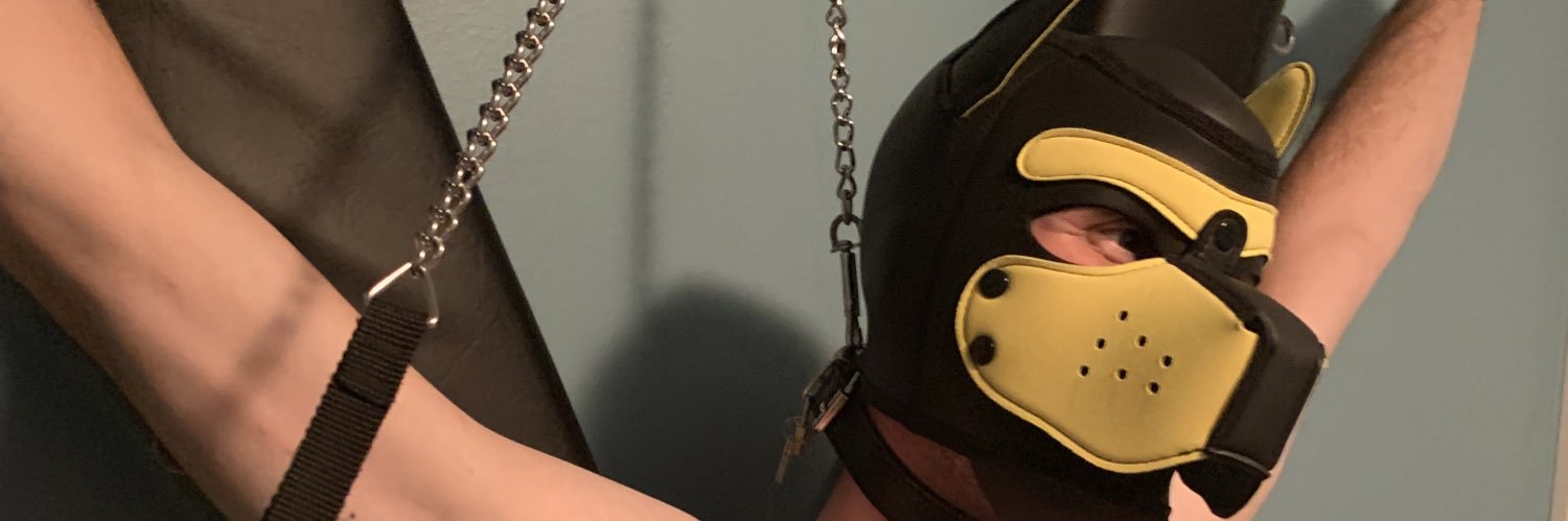 Pup Zeus 🇨🇦 bcn 12-16 december and mad 19-23 dec's banner