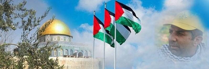 زاهر ابو حسين's banner