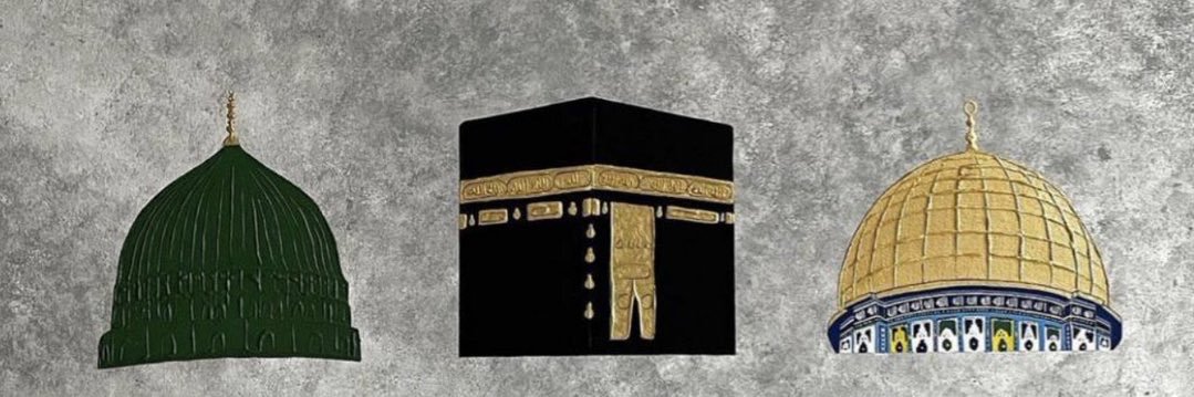 Amine Duygu İdin's banner