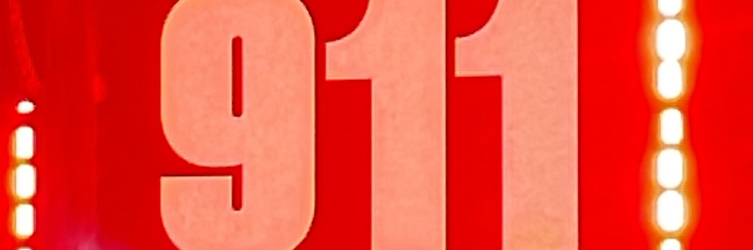 punjabi papi's banner