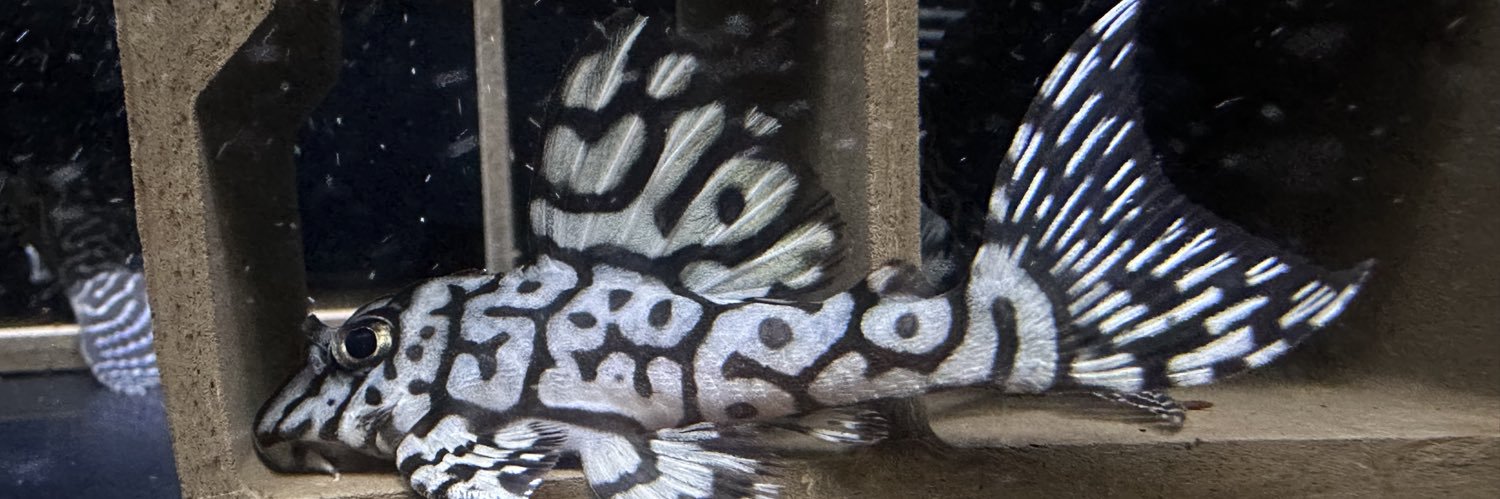 マンボォ∈( ⊙_________ ⊙)∋'s banner