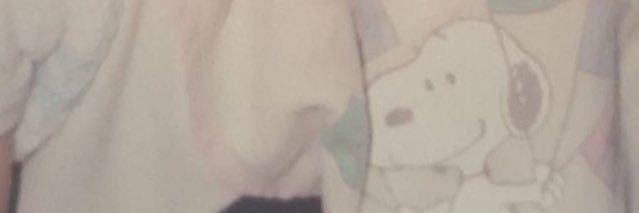 littleani's banner