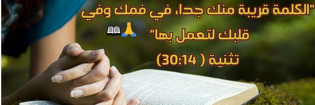 Bible Daily 📖's banner