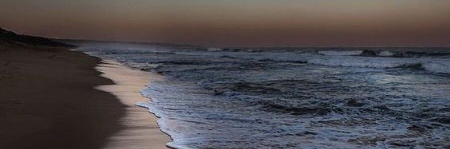 ✨فهد السلمي✨🇸🇦's banner