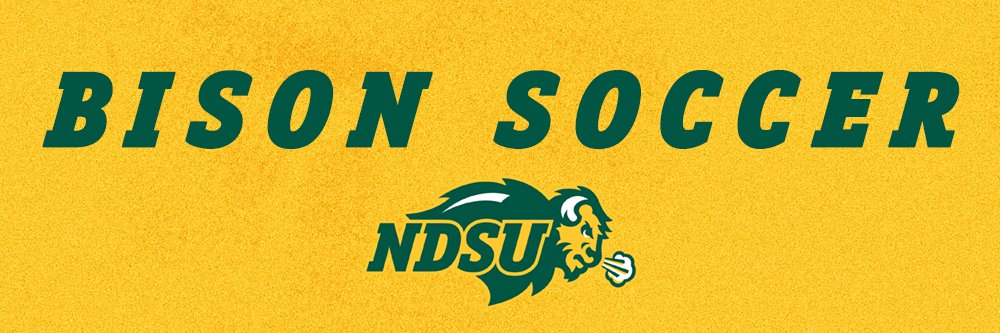 NDSU Soccer's banner