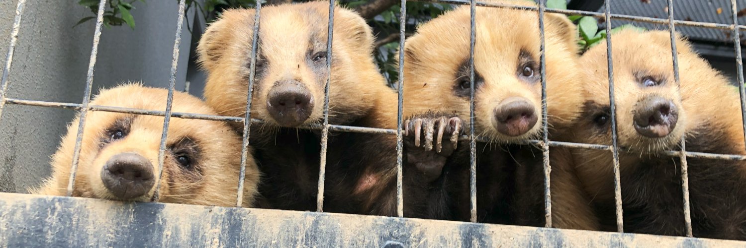 盛岡市動物公園 ZOOMO's banner