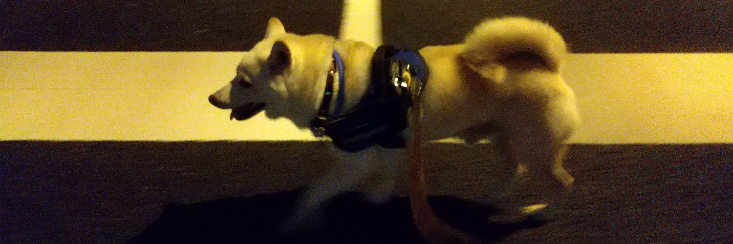 柴犬KOTARO＆パパ's banner