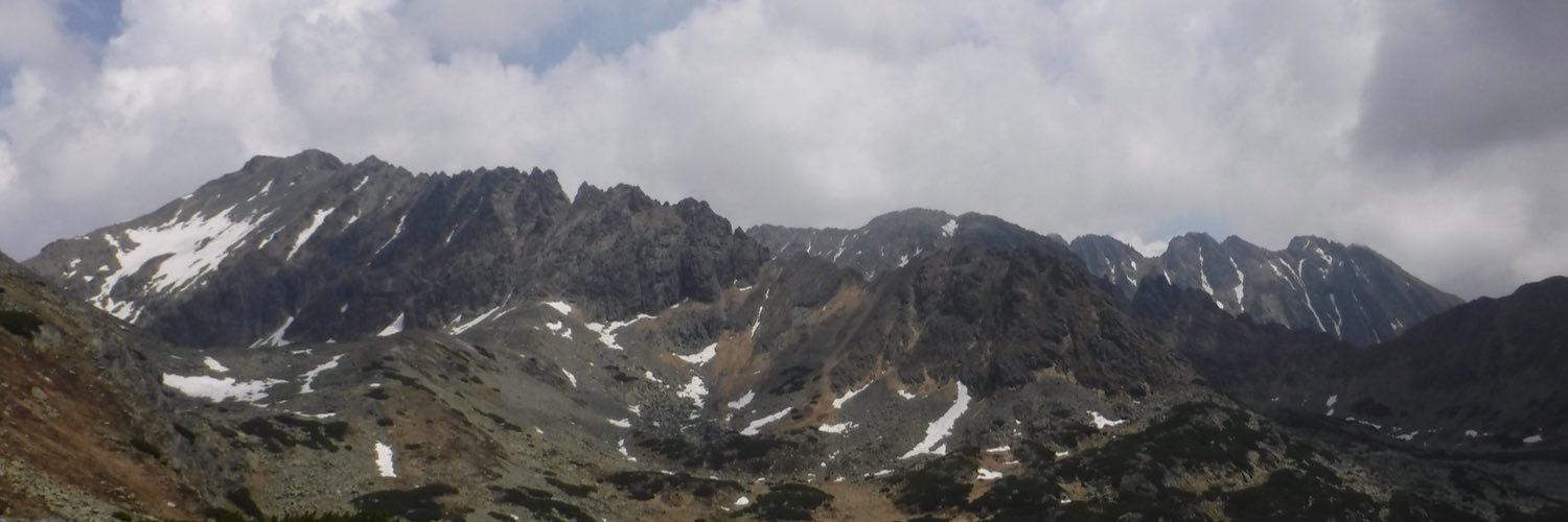 Cristoffer Berg's banner