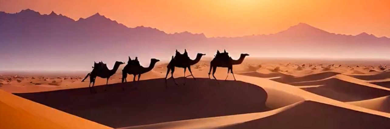 علي حمود شاهين الغانم's banner