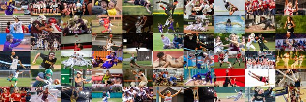 Ozarks Sports Zone's banner