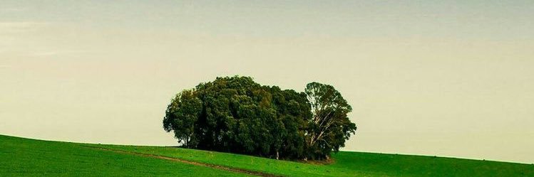 Erastus Uso's banner