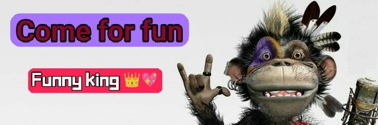Funny King 👑 🪄's banner