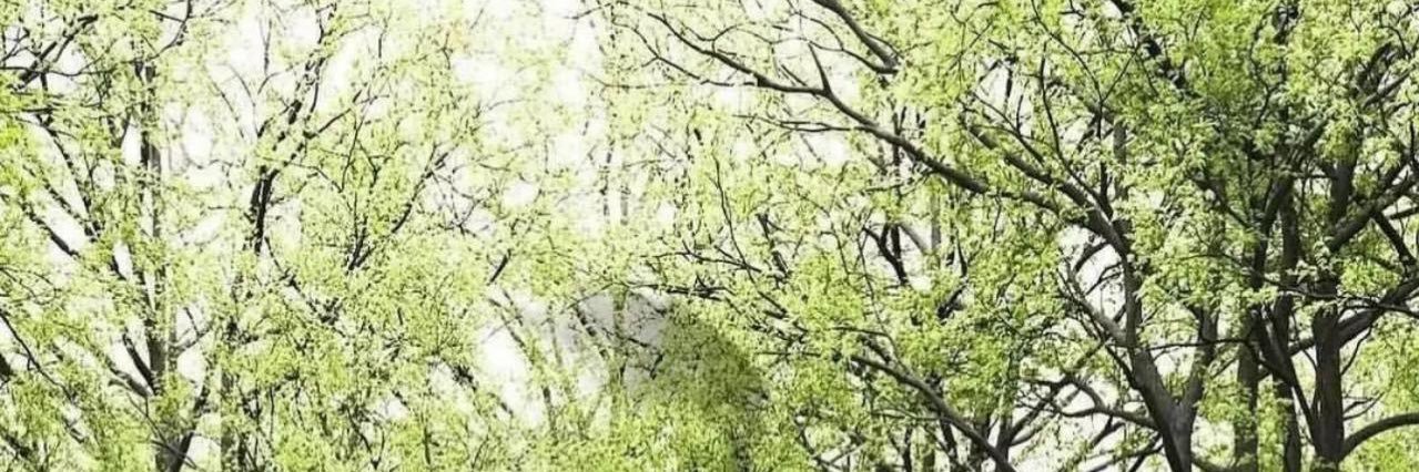 خالدع الواصل's banner