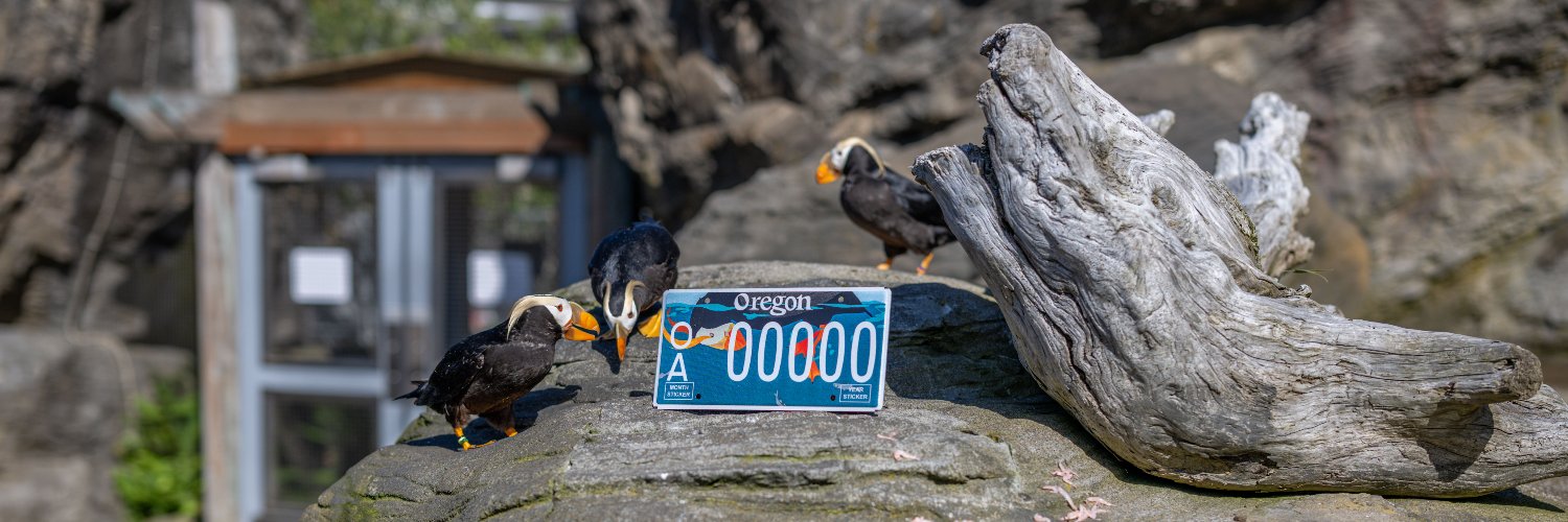Oregon Coast Aquarium's banner