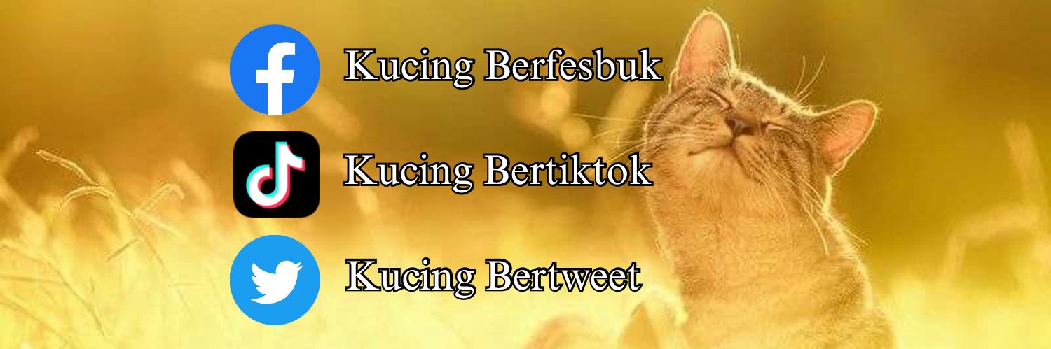 KucingBertweet 🍉's banner