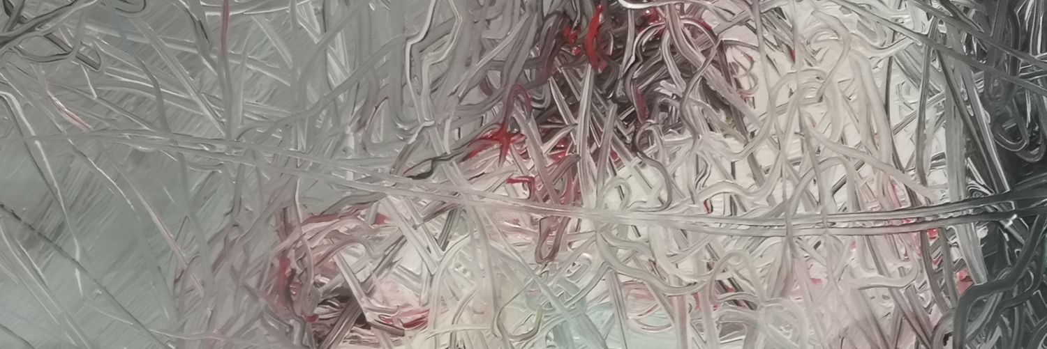 米斯先生 | Bird🕊️'s banner