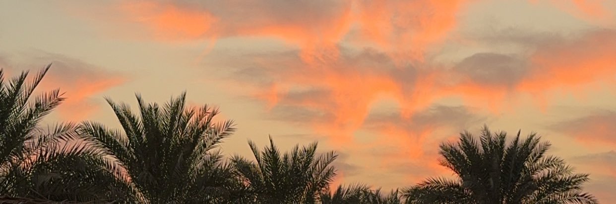 ليلى 🕊♥️'s banner