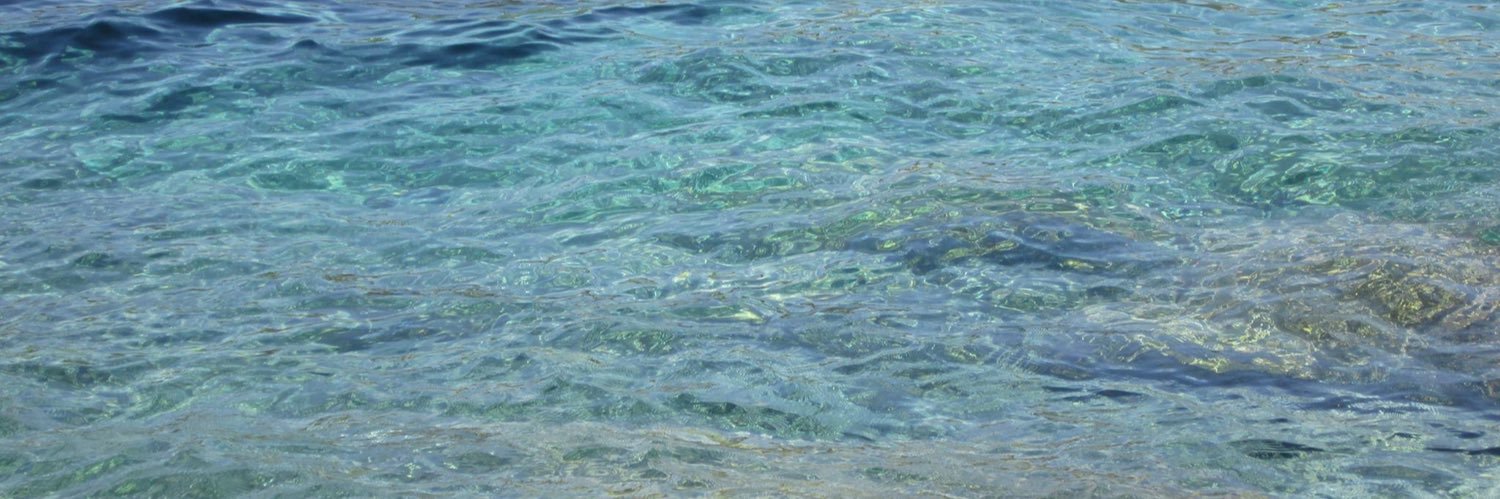 Luli Mazzone's banner