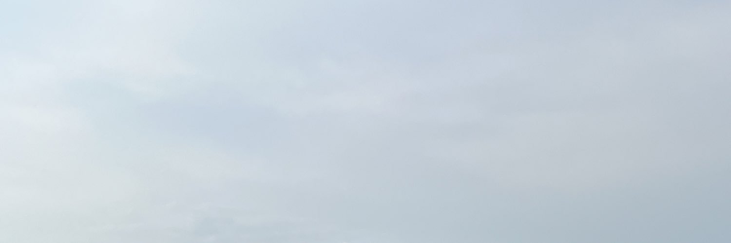 LimBeer's banner