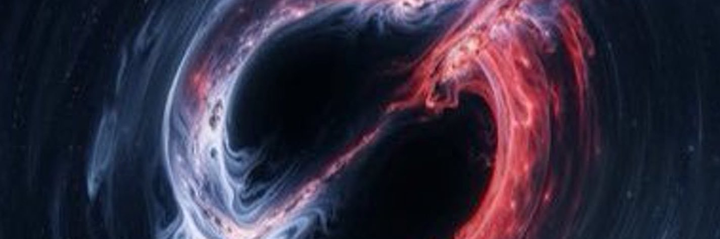 ELON WATCH's banner
