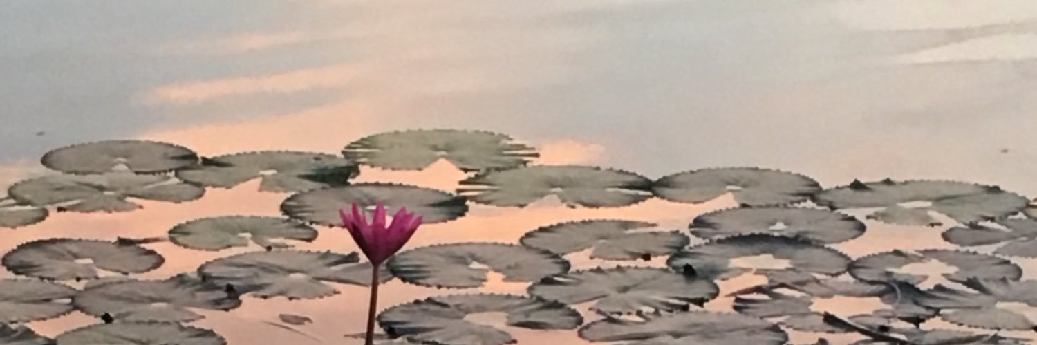 Yorka Ojeda's banner