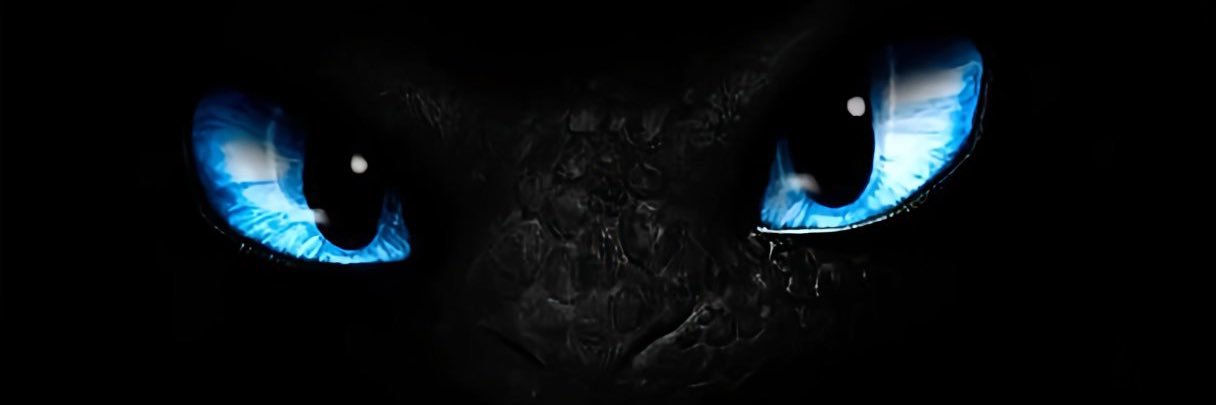 Sam 's banner
