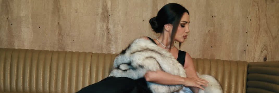 Diana Haddad's banner