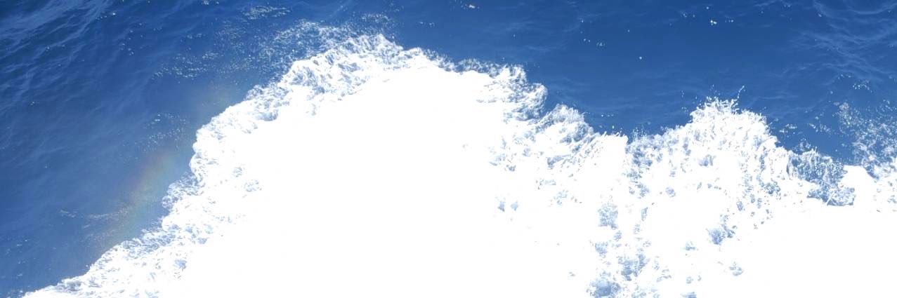 大後寿々花's banner
