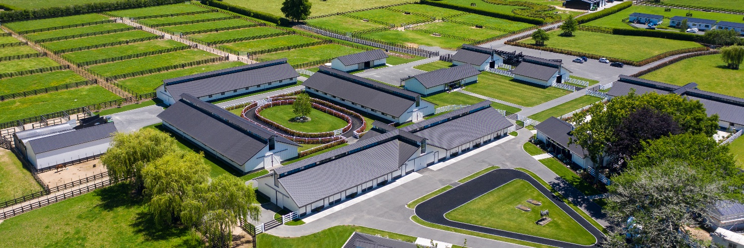 Cambridge Stud's banner