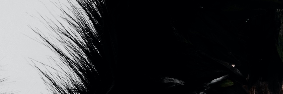 BELLRING少女ハート：公式's banner