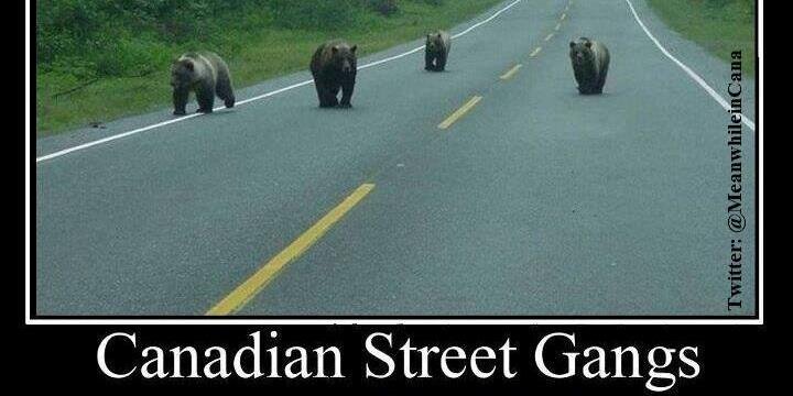 Meanwhile in Canada's banner