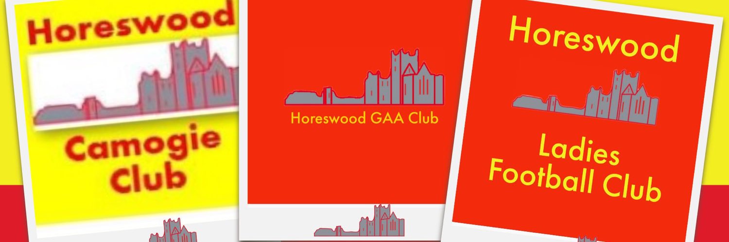 Horeswood G.A.A, LGFA and Camogie Club's banner