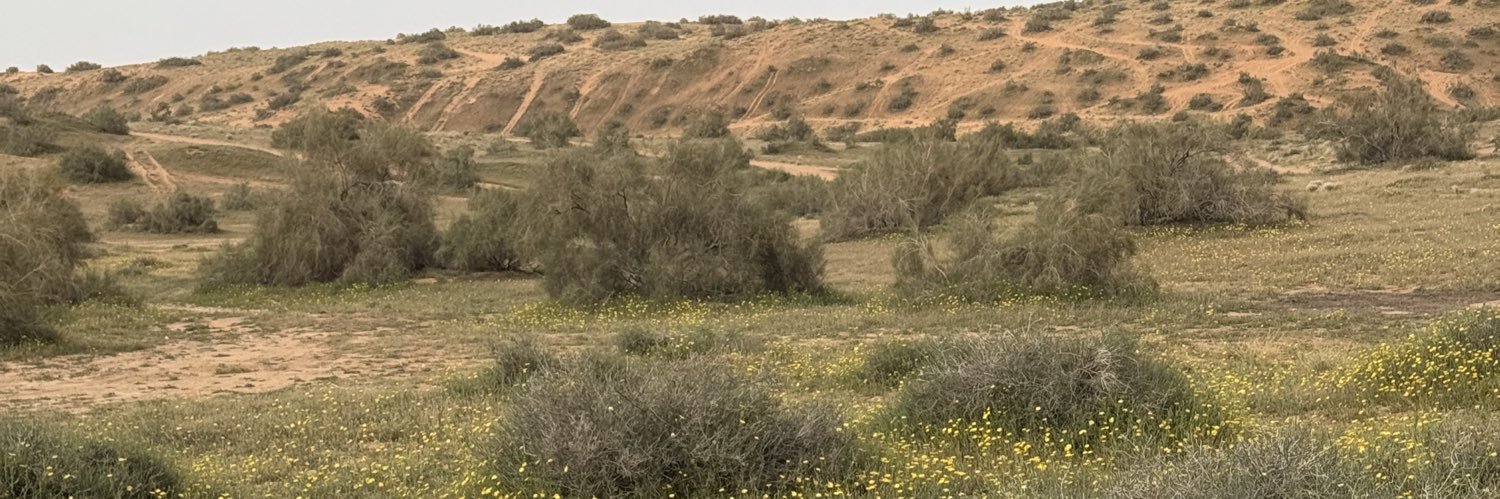 صـالح ابراهيم الونين's banner