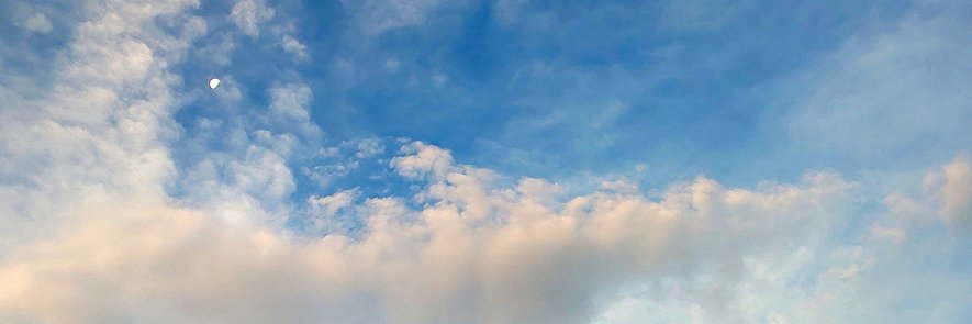 mitsuko komuro/小室みつ子's banner