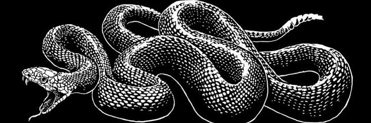 ˳ ɱɑɠicĸɑl ɱuse ⎊'s banner