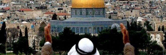 🇵🇸 Katibîn 🇵🇸's banner