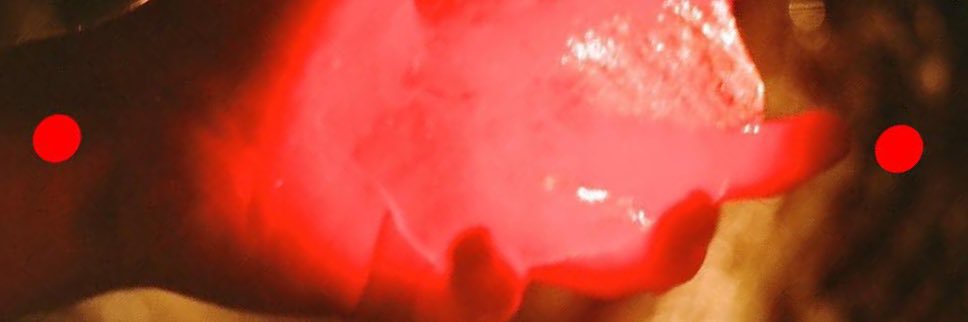 𝔊𝔈ℨ𝔄𝔑's banner