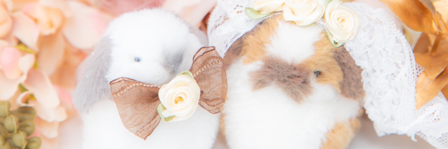 ほっぷ🐰(さくらこ)'s banner